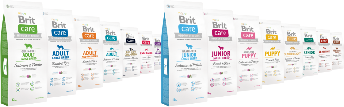 Brit care shop junior medium breed