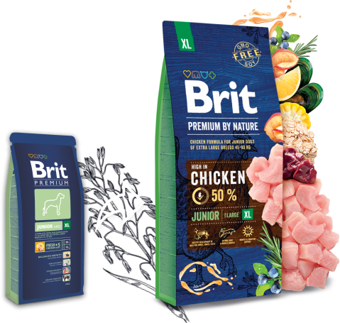 retfærdig Legende Charmerende Brit Premium by Nature - dry – Brit
