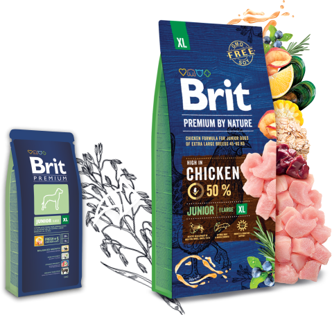 Brit premium by clearance nature lamb & rice