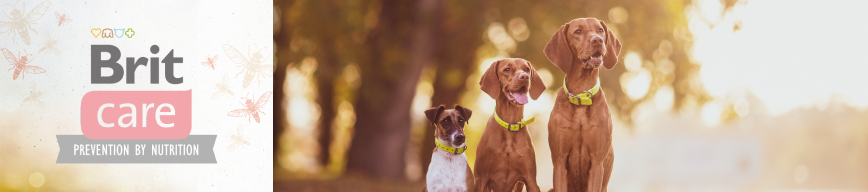 Brit Care Dog Insect