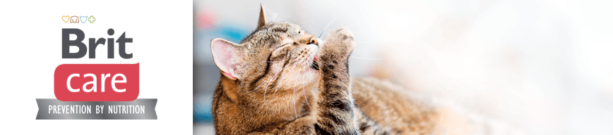 Brit Care Cat Functional Pastes