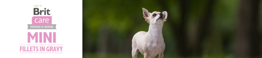 Brit Care Mini Fillets in Gravy