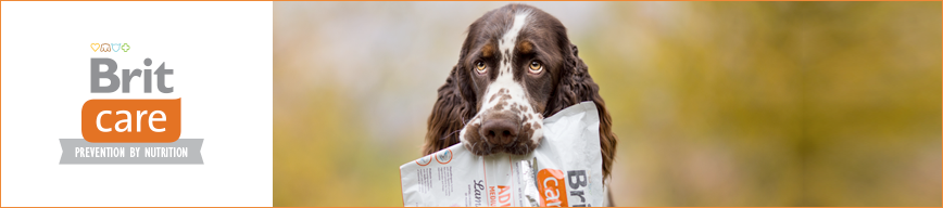 Brit Care Dog