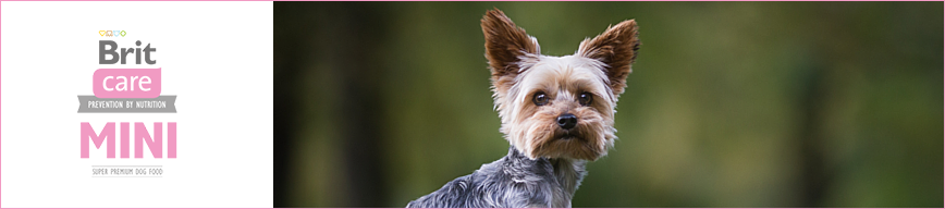 Brit Care Mini