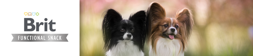 Brit Functional Snack