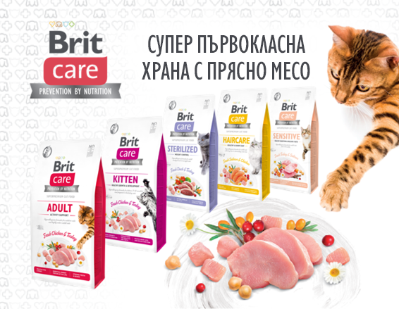 Brit Care Cat Dry BG