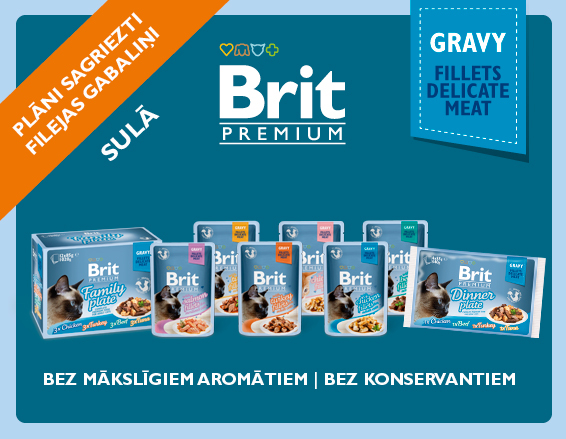 Brit Premium pouch Gravy LV