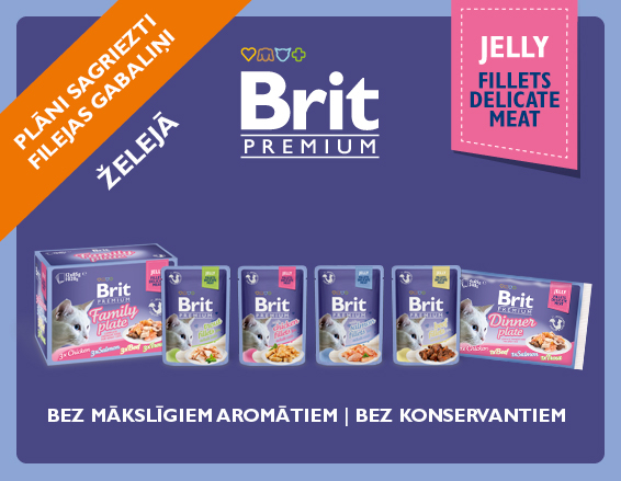 Brit Premium pouch Jelly LV