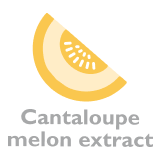 cantalope