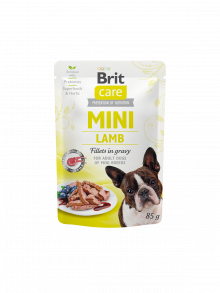 brit dog food