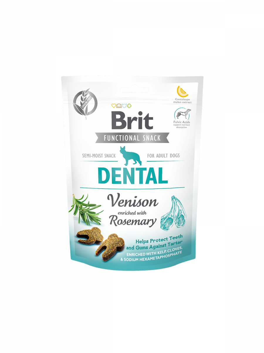 brit care dental